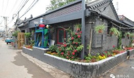 2025一月高招s最新爆料,揭秘热门专业与录取趋势